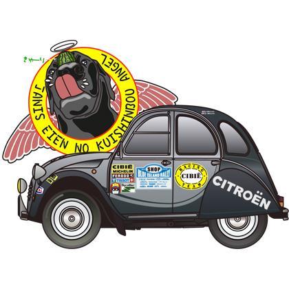 chabinchi602's profile picture. 車いすガラガラ漕ぎもってあっちゃへフラフラこっちゃへフラフラ。今日もボチボチぞね。