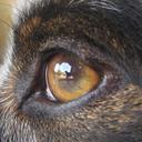 Margaret Echols - @Me2amazed - Twitter