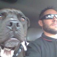 Darrell Bragdon (@darrellbragdon) 's Twitter Profile