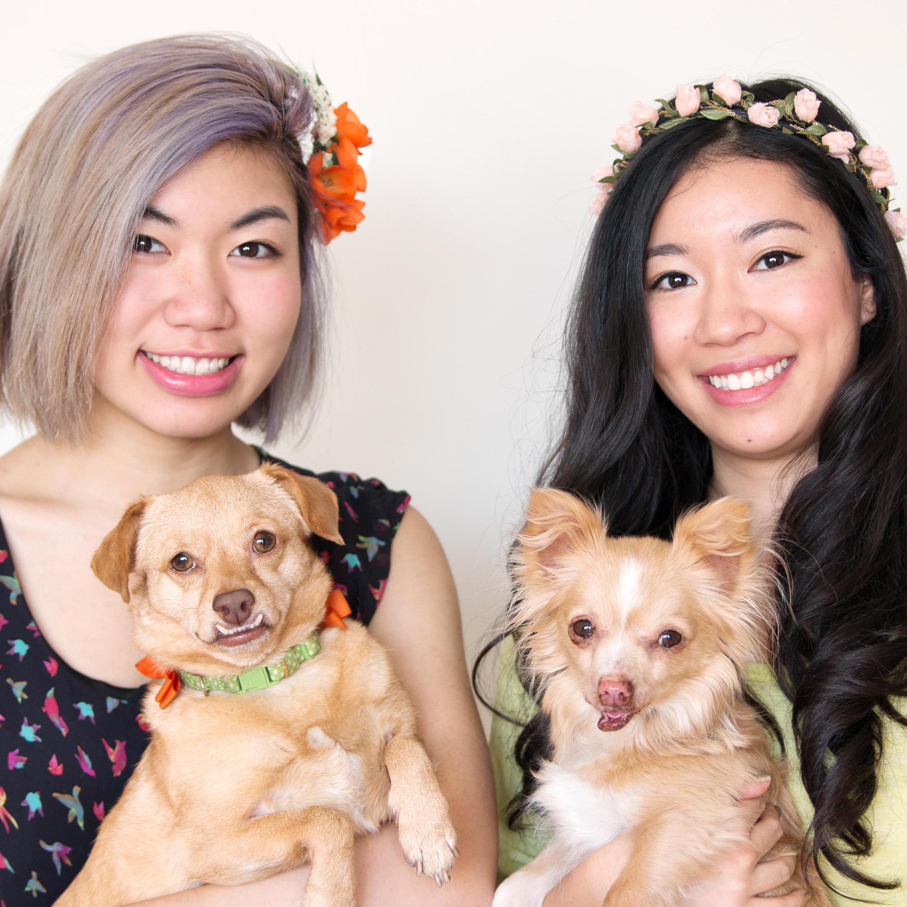 DroolyHappiness's profile picture. We are sisters that are crazy obsessed with our dogs. Join us in our little adventure! Just make sure to bring a lint roller.