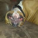 eric wojciechowski - @sippy72 - Twitter