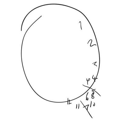 May_Wolf's profile picture. m.d.