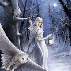 jessi529's profile picture. 