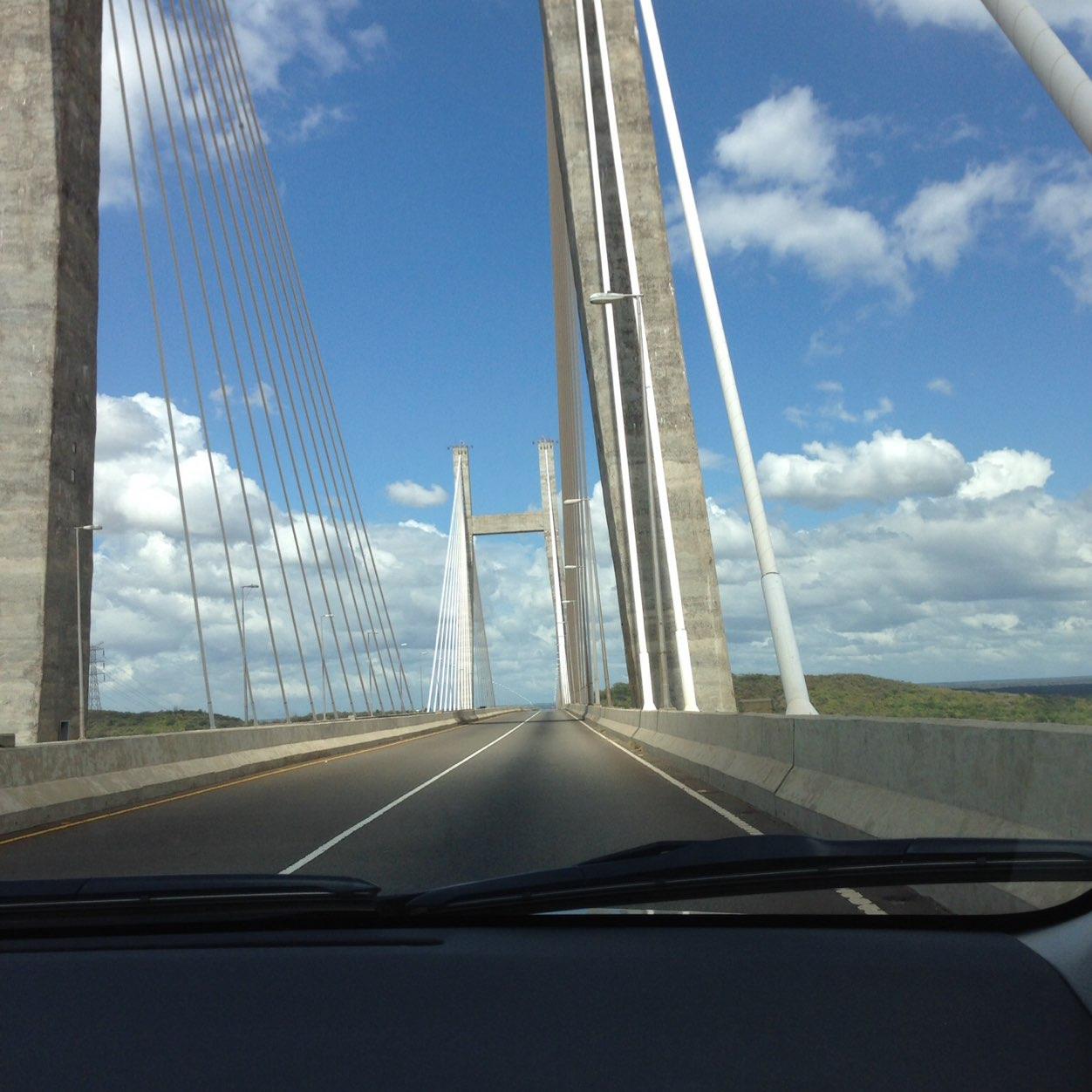 mymalva's profile picture. 