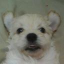 Amy Leal - @be1942c1c845464 - Twitter