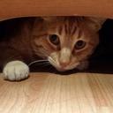 Rosy Soto - @Pokochuela - Twitter