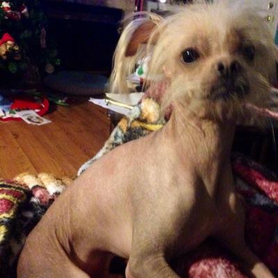 mamatina911's profile picture. happily married to my best friend!