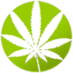 Tweeting Marijuana News & Humor