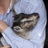 vraket's profile image
