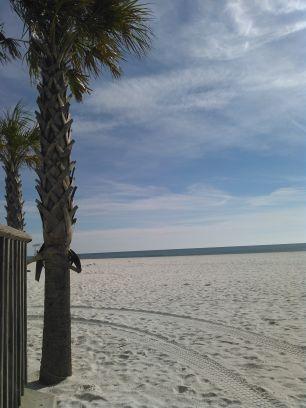 vicki_avans's profile picture. 