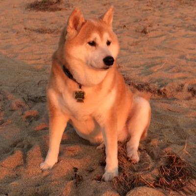 lil2smrt's profile picture. 