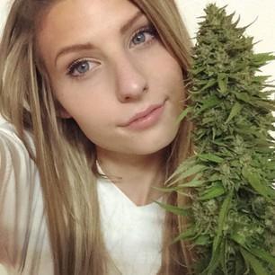 I smoke alottta weed to keep them bitches off my mind. #Bisexual