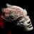 theVocal8's profile image
