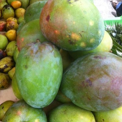 AntoineKcbb's profile picture. 