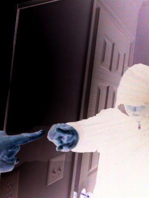 Spell_On_U_Now's profile picture. What you send out-comes back. What you sow-you reap. What you give-you get. What you see in others-exists in you. Give love-and love comes back to you.