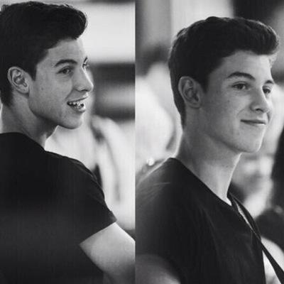 who is shawn mendes