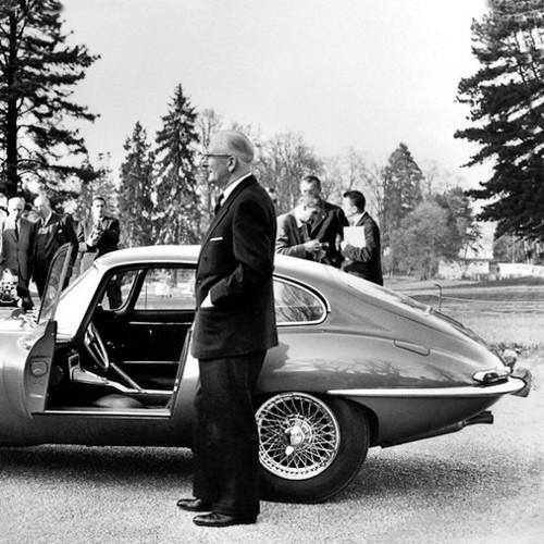 FinMrGold's profile picture. 