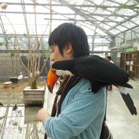 ちょーさん (@cho_san0520) 's Twitter Profile