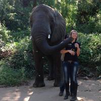 Angelique Tostee (@angeliquetostee) 's Twitter Profile