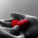 ساره (@0259_sara) Twitter