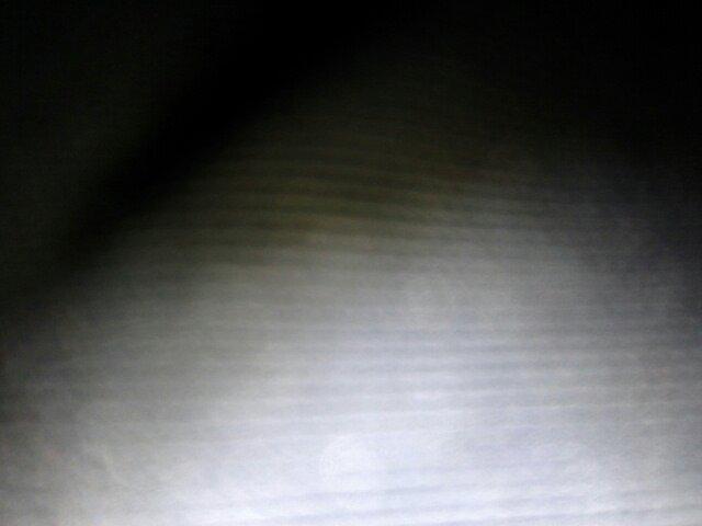 @zoelthan1st