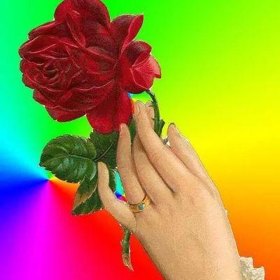 RayaanAbader's profile picture. 