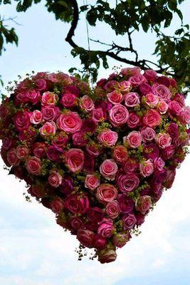 ‏كل الي عليك ترسلين الكلام واليوزر دي ام وما يصير خاطرك الا طيب ان شاء الله ❤