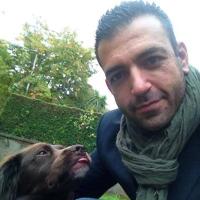Alex Petrilli (@alex_petrilli) 's Twitter Profile
