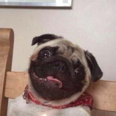 -derp-je moeder aan de koffiepoeder-