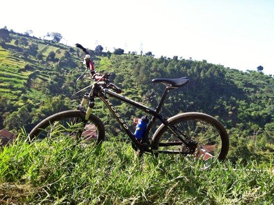 angka_tiga's profile picture. 