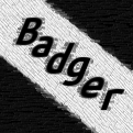 TShrimpBadger's profile picture. I'm badger and i'm here to steal your twitter fames #hashtag #hashtaghashtag#