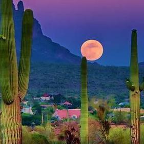 aloha09jc's profile picture. 