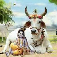 sunilku88439664's profile picture. 