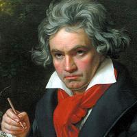 マグノリア室内管弦楽団 (@mcorchestra) 's Twitter Profile Photo