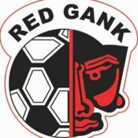 #11 Tahun Red Gank (@singgihpsm) 's Twitter Profile