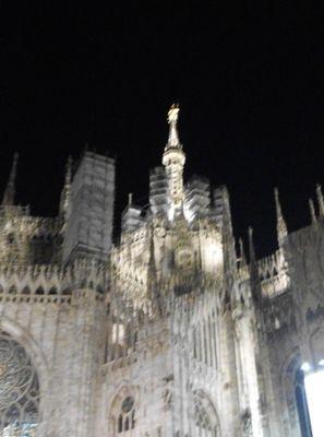 elybassi81's profile picture. 