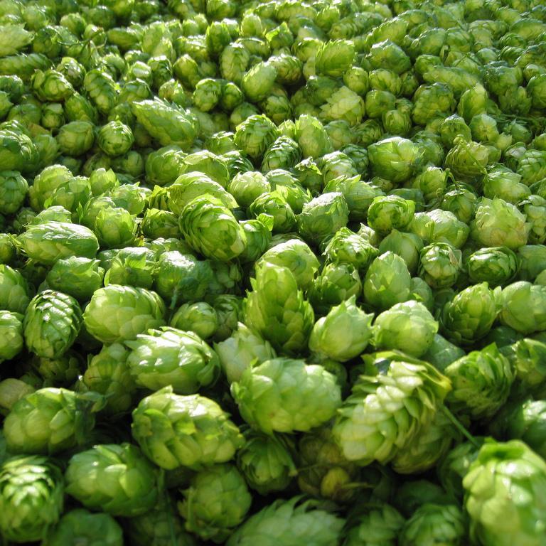 Welbeck_Dray's profile picture. 