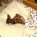 Jill Harbaugh Scott - @jscott54550 - Twitter