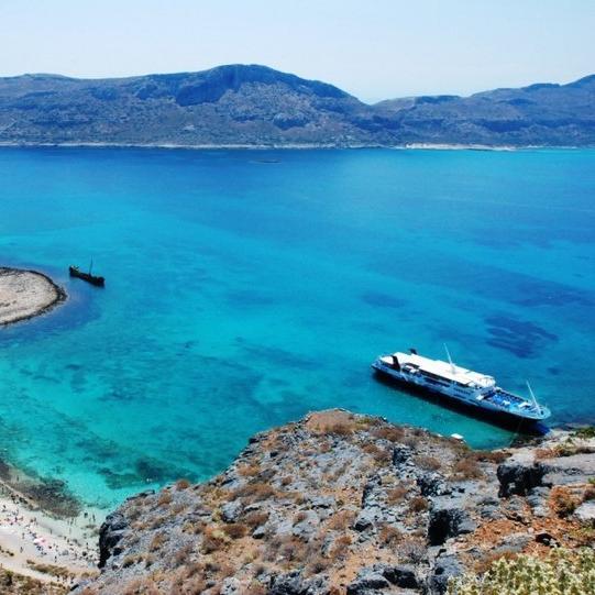 ALEX49229366's profile picture. 