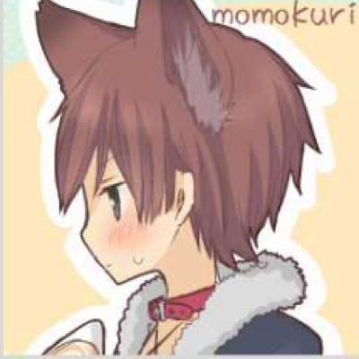 SEやってます。