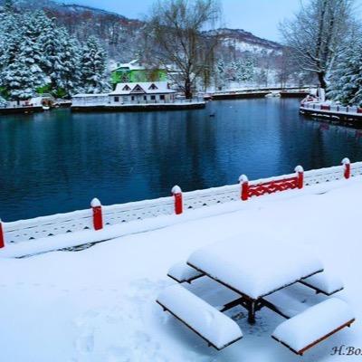 dokuzeylul1994's profile picture. 