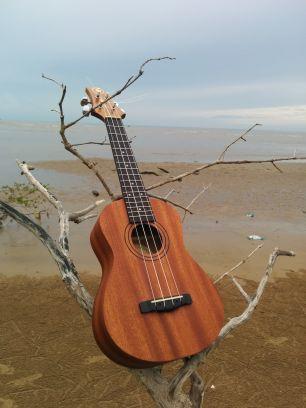 wadah bubuhan Ukulele Samarinda (UKESAM)