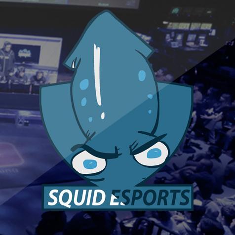 Professional Squids.Check out @VaecUp for designs ;)