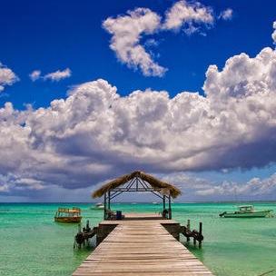 Tru_brite's profile picture. 