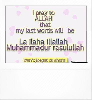 jaleesmj81's profile picture. 