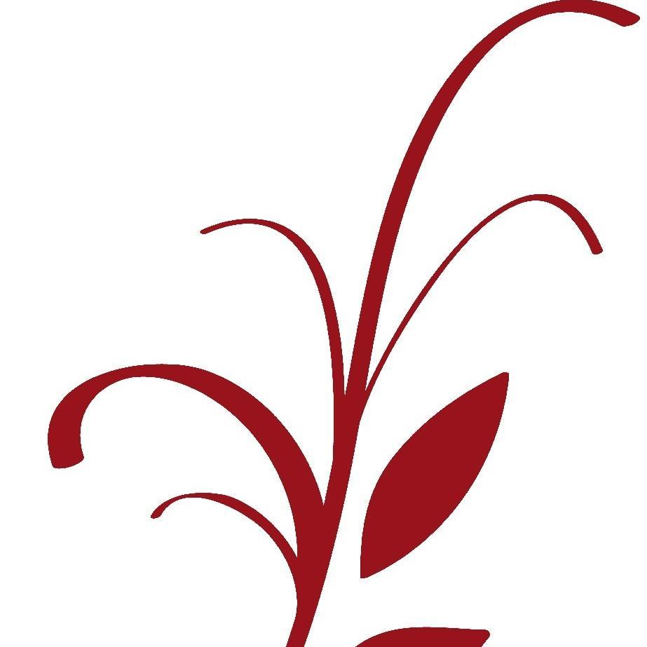 tesolei_com's profile picture. Los mejores tés del mundo seleccionados por nuestros sumilleres