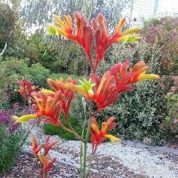 eanneg's profile picture. AKA Anne. Retired from the paid workforce. Thanks for industry super.