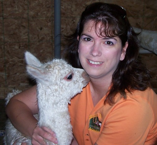 We raise Alpacas along with our farm store, tours during the spring through fall, and Holli started Fleeces-to-Go to help alpaca farms showcase their fleeces!
