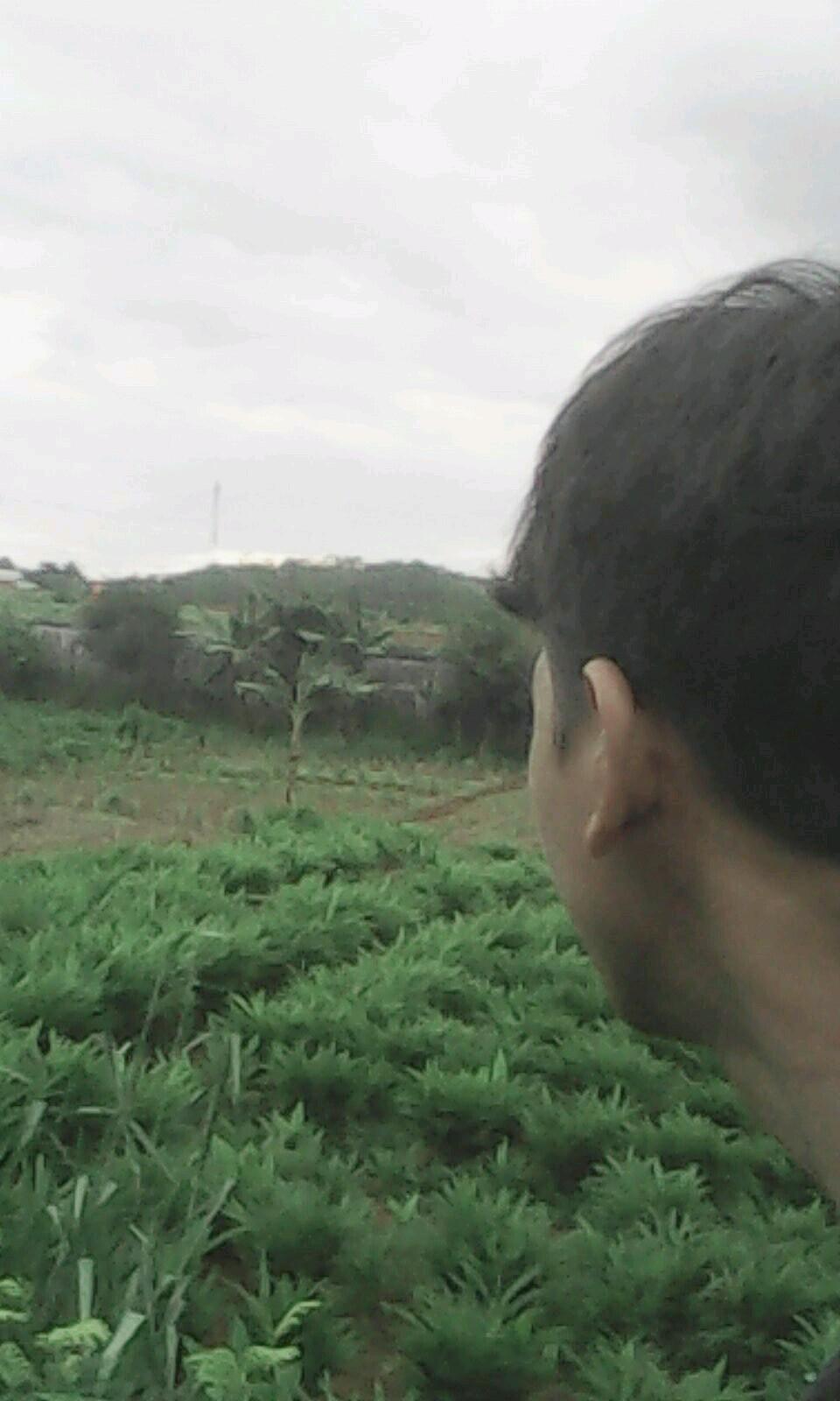 Brill_Valdy's profile picture. Bulshit