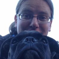 Foxinmotion (@tvundso) Twitter profile photo